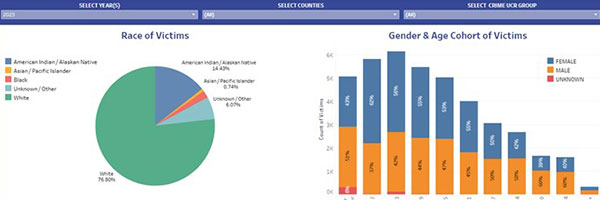 Violent Crime Dashboard